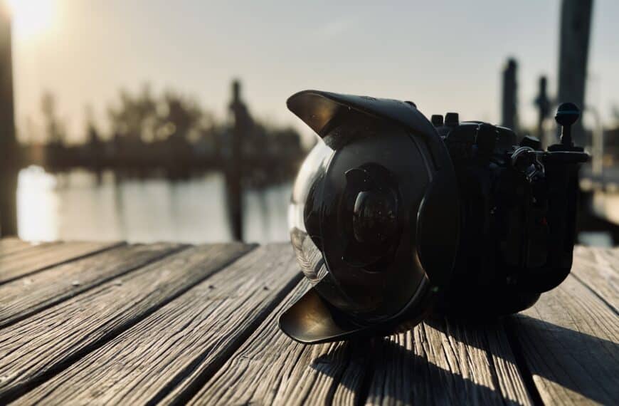 natural ambient light underwater photography